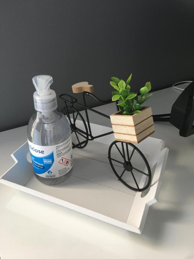 Apartamento La Casa Des Petites Maries Terrasse Clim Wifi